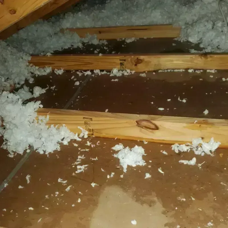 Attic Water Damage in Caribou County, ID