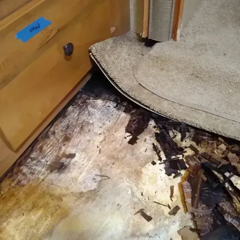 Wood Floor Water Damage in Caribou County, ID